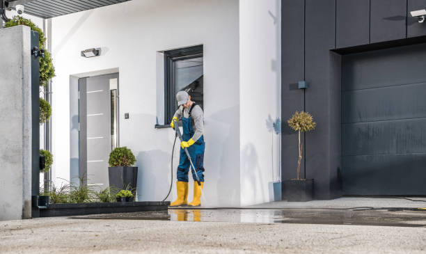 Best Brick and Stone Cleaning in Piney, AR